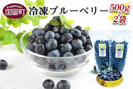 [冷凍ブルーベリー(500g×2袋)]翌月末迄に順次出荷[b0135_ye]