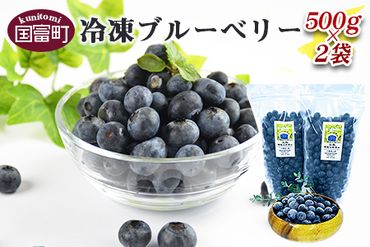 ＜冷凍ブルーベリー(500g×2袋)＞翌月末迄に順次出荷【a0135_ye_x1】