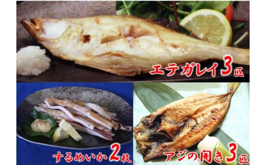 【一夜干し3点セット 産地直送】するめいか アジの開き エテガレイ 発送目安：入金確認後1ヶ月程度 兵庫県で水揚げされた3種の海産物を干物にしました 塩干物の命である塩にこだわり ミネラル分が多く含まれた天日海水塩で仕上げています 干物 日本海 兵庫県 香美町 香住 ハマダセイ 51-04