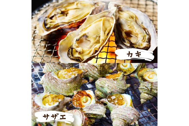 大人気！京丹後産・牡蠣とサザエのBBQセット　各16個（4～5人前）　YK00151