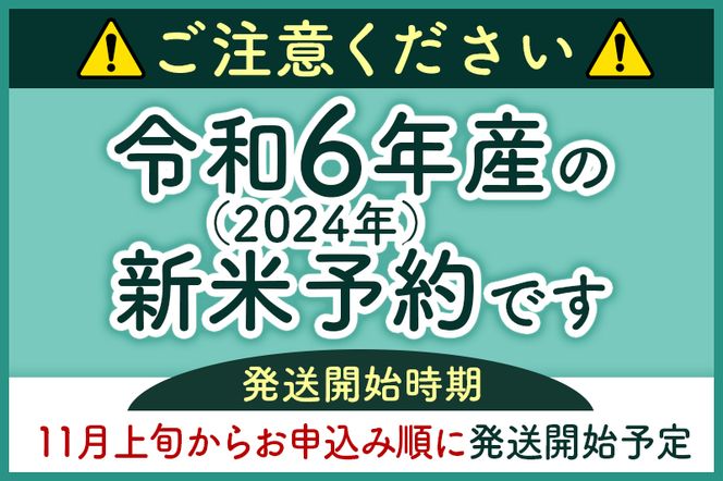 ※令和6年産 新米予約※《定期便9ヶ月》秋田県産 あきたこまち 25kg【3分づき】(5kg小分け袋) 2024年産 お届け時期選べる お届け周期調整可能 隔月に調整OK お米 おおもり|oomr-50909