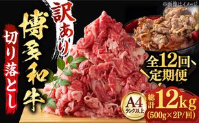 【全12回定期便】【たっぷり大容量！】博多和牛 切り落とし 1000g(500ｇ×2Ｐ）《築上町》【株式会社MEAT PLUS】[ABBP029]