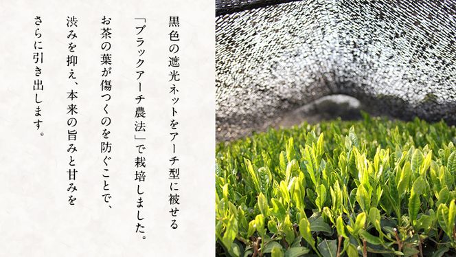 松田製茶 猿島茶 ティーバッグ 5種類 セット ふるさと納税 10000円 お茶 お手軽 緑茶 ほうじ茶 和紅茶 国産 [AF124ya]