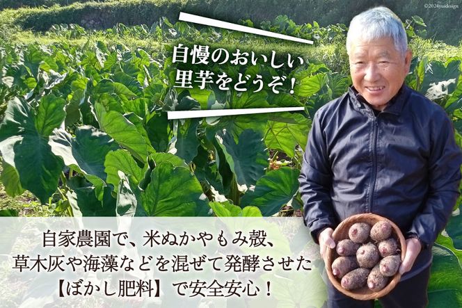 里芋 赤芽 4kg [甲斐自然派農園 宮崎県 日向市 452060524] さといも ホクホク