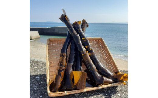 【E22025】関のくろめ味噌汁セット（2種類入り）