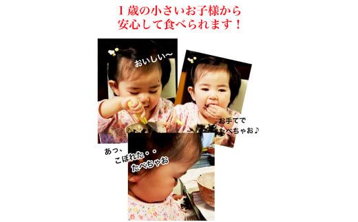 福岡県産 有明のり 海苔のふりかけ 30g×10袋 計300g 有明海産 海苔 ふりかけ 味付け海苔 のり ごま