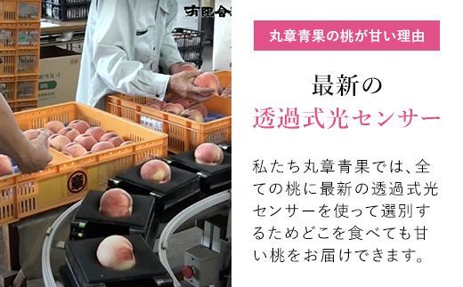 ＜2024年先行予約＞笛吹市産こだわりの桃 約1.5kg(3～6玉) 常温 090-012