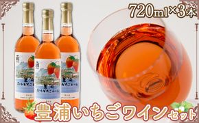 北海道 豊浦 いちご ワインセット【3本】 