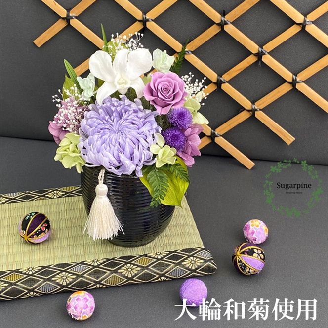 yʌtszAJ007-2 vU[uht[@G@ ts VK[pC