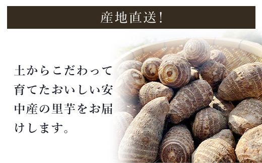 土づくりからこだわったほくほく里芋【５kg】  ANAR003