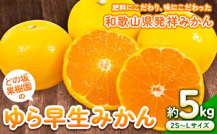 ゆら 早生 みかん 約 5kg (2S〜Lサイズ) どの坂果樹園[10月中旬-12月上旬頃出荷予定] 和歌山県 日高町 みかん ゆら早生 旬 柑橘 フルーツ 果物 ミカン 蜜柑---wsh_dsk12_g1012_24_10000_5kg---