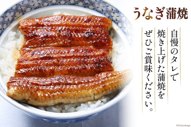 【ての字】 うなぎ 国産 鰻蒲焼 80g ×4 鰻めし 100g ×2 [静岡伊勢丹 静岡県 吉田町 22424466] ウナギ 鰻 蒲焼 蒲焼き おこわ おにぎり 冷凍 ての字
