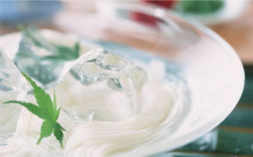 【宮内庁献上】と【九州産小麦粉100％】手延べ そうめん 2種 詰め合せ 10箱 /  素麺 島原そうめん 麺 / 川上製麺 / 南島原市 [SCM011] 