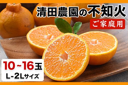 清田農園のご家庭用不知火10玉-16玉(L-2Lサイズ) あのデコポンと同品種 熊本県玉名郡玉東町《3月上旬-3月末頃出荷》---sg_kytsrn_ac3_24_12000_10p---