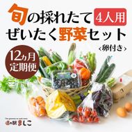 ＜12カ月定期便＞旬の採れたてぜいたく野菜セット（卵付き）4人用 益子町 ふるさと納税 野菜 やさい 野菜セット セット 卵 たまご 旬野菜 定期便(AA036)