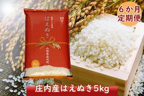 ＜12月中旬発送＞庄内米6か月定期便！はえぬき5kg（入金期限：2024.11.25）