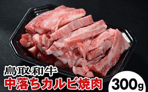 鳥取和牛 中落ちカルビ焼肉（300g） ※離島への配送不可