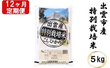 特別栽培米　出雲市産コシヒカリ　5ｋｇ×12回　定期便12ヵ月　お米【12-002】
