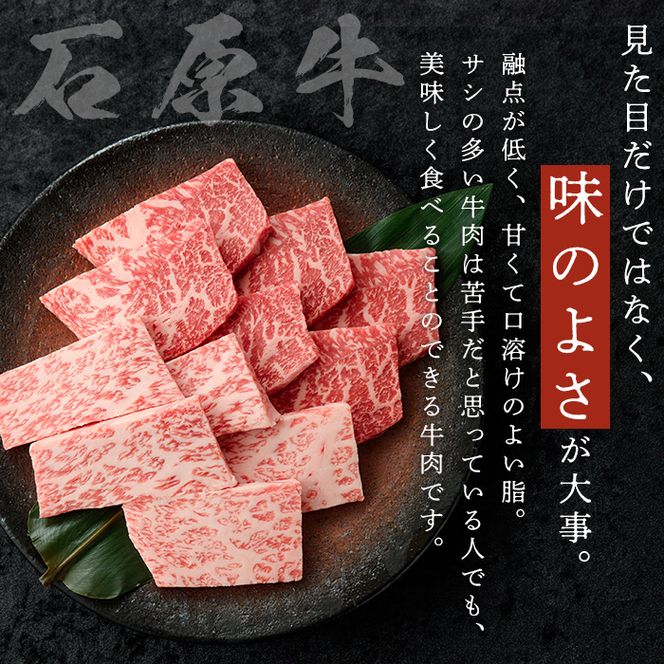 石原牛 赤身霜降りモモ 焼肉用(300g) 黒毛和牛 国産 九州産 鹿児島県産 牛肉 ブランド牛 焼肉 BBQ 和牛 霜降り 赤身 健康志向 冷凍 贅沢 贅沢な一品 贈答用 ギフト用 【株式会社石原PRO】akn083-06
