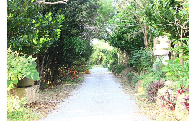 【観光ガイドと巡る】世界遺産「座喜味城跡」・やちむんの里