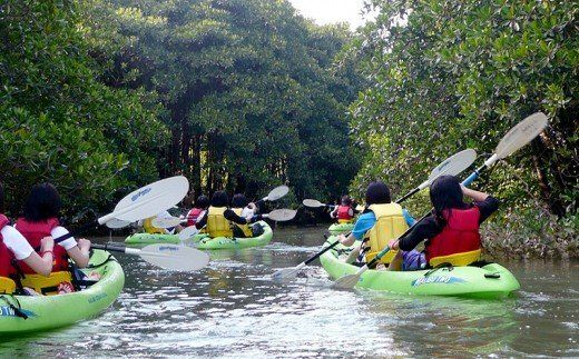 億首川マングローブ・カヌー体験【1名】
