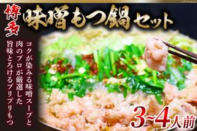 博多味噌もつ鍋 3～4人前 セット ちゃんぽん麺付 / MEAT PLUS / 福岡県 筑紫野市 [21760372] もつ鍋 モツ鍋 味噌 味 冷凍