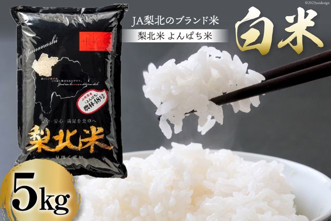 yRBsz k _48 5kg [k_Ƌg R Bs 20743665]    R  5L  ͂  Y JAk