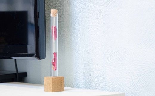 シルバー製イヤーピック（耳かき）  HAK001