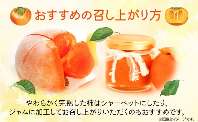 秀品 和歌山 秋の味覚 富有柿 約2kg 化粧箱入 株式会社魚鶴商店《2026年11月中旬-12月上旬頃出荷》和歌山県 日高町 柿 富有柿 フルーツ---wsh_uot200_11c12j_25_12000_2kg---