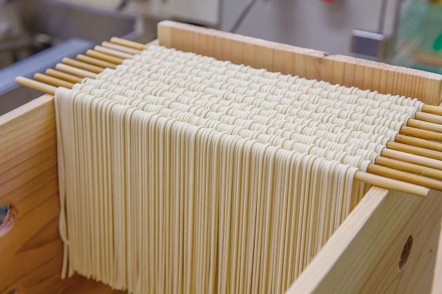 メディア紹介多数！大磯屋製麺所の熟成焼そば（深蒸し仕立て） 10食(平麺) ナポリタンソース1本付き　H014-034