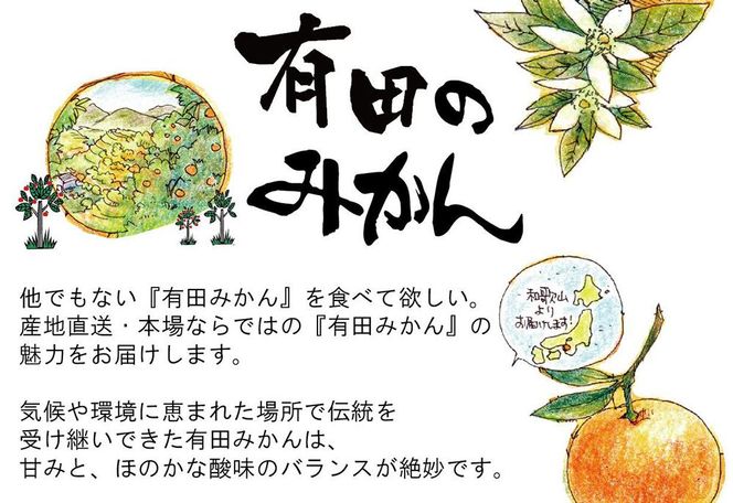 【先行予約】はじめまして 有田みかん  お試し 3kg 和歌山県産 混サイズ ORYY推奨 BA22