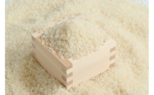 さくら市産の農産物詰め合わせDX≪野菜 旬の野菜 米 栃木県≫◇