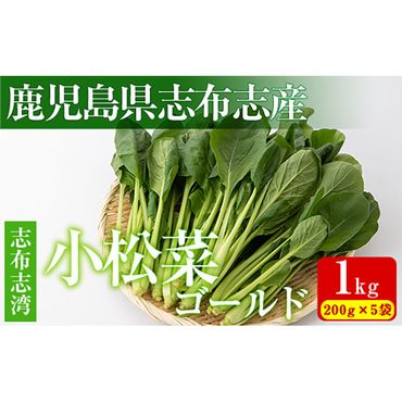 【期間限定】志布志湾小松菜ゴールド(計1kg・200g×5袋) p9-015