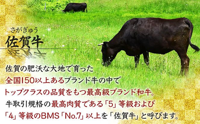 180g×4枚 佐賀牛｢フィレステーキ｣ (年4回) I-82