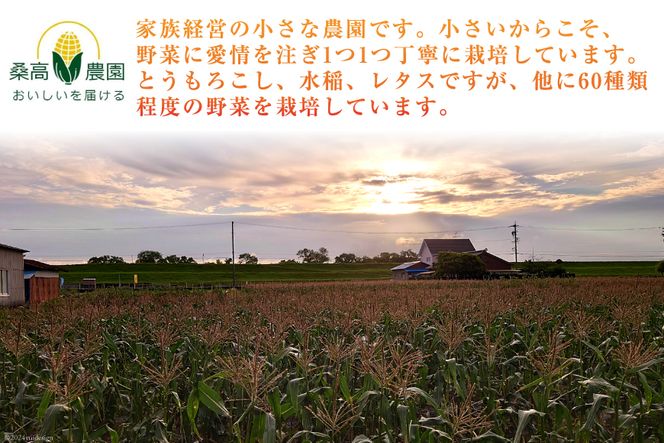 【糖度平均18度以上】とうもろこし 朝どれミラクルスイートコーン「味来」5kg箱 10～13本 [桑高農園 静岡県 吉田町 22424254] コーン トウモロコシ スイートコーン 朝採り 朝採れ 甘い