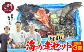 鹿の角を使ったマクラメタペストリー#B(縦：96cm×横(角)：59cm