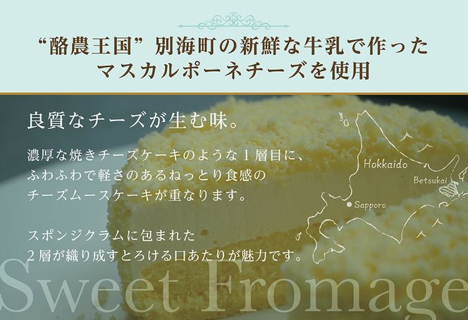 【毎月定期便】二層のチーズケーキスイート・フロマージュ 12cm×2台×8ヵ月定期便【be051-0991-100-8】