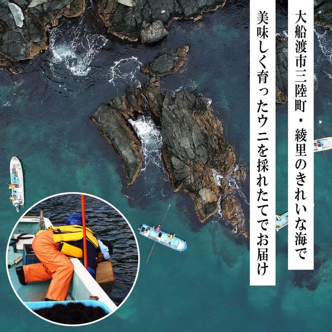 綾里おかぁの味 塩ウニ 60g 岩手県産 冷凍 無添加 ミョウバン不使用 ムラサキウニ [ryorigyo002_1]