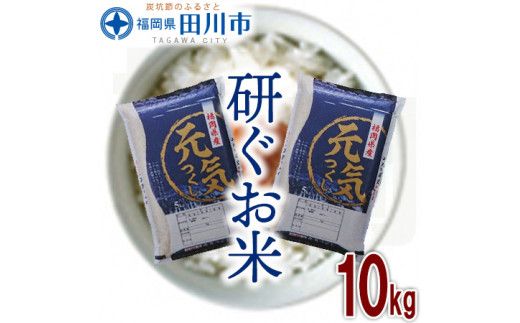 福岡県産元気つくし 10kg(5kg×2)