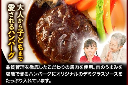 馬肉デミハンバーグ 200g×8個 計1.6kg 千興ファーム 馬肉 冷凍 《60日以内に出荷予定(土日祝除く)》ジューシー デミグラスソース 肉 熊本県御船町 馬肉 惣菜 お弁当---mifune_snk_24_8s---