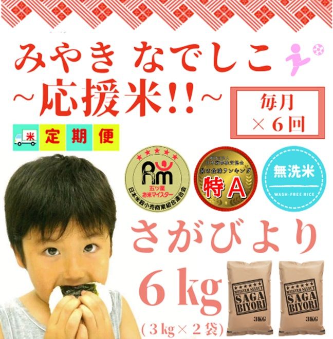 CI381_【みやきなでしこ】応援米【６回定期便】【無洗米】さがびより６kg（３kg×２袋）／みやき町