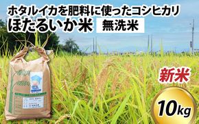 【先行予約】【新米】ほたるいか米（新米/無洗米10kg）25年10月以降順次配送予定