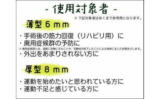 簡易型大腿四頭筋訓練器 「プッシュボード」[030M06]