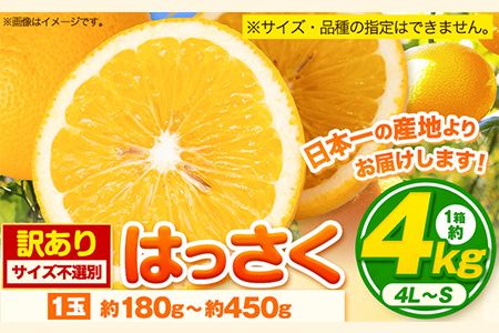 [訳あり/ご家庭用]はっさく 約4kg (4L~Sサイズ)サイズ不選別 早生 晩生指定不可 [2026年2月上旬-3月中旬頃出荷]和歌山県 紀の川市 産地直送 みかん 八朔 柑橘 果物 フルーツ ご家庭用 ビタミンC たっぷり---wfn_wlocal104_2j3c_25_6000_4kg---