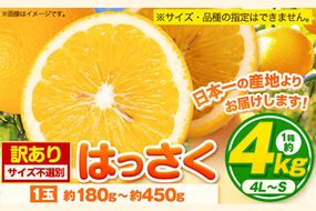 【訳あり/ご家庭用】はっさく 約4kg (4L~Sサイズ)サイズ不選別 早生 晩生指定不可 《2026年2月上旬-3月中旬頃出荷》和歌山県 紀の川市 産地直送 みかん 八朔 柑橘 果物 フルーツ ご家庭用 ビタミンC たっぷり---wfn_wlocal104_2j3c_25_6000_4kg---
