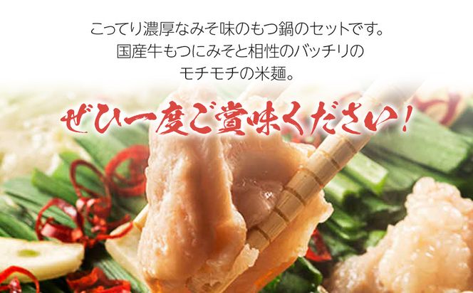 もつ鍋 みそ味2人前×2セット(合計4人前)(米粉麺付)