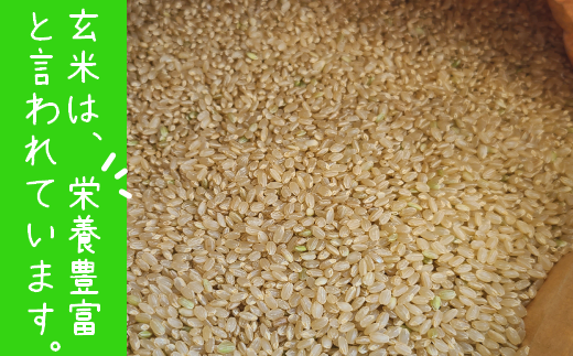 【令和7年産新米】【先行予約】ひかりファーム の ミルキークイーン - 玄米 - 10kg【2025年10月以降順次発送】《築上町》【ひかりファーム】 [ABAV012]