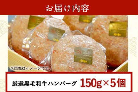 厳選 くまもと黒毛和牛 ハンバーグ 5個入り(150g×5個)《30日以内に順次出荷(土日祝除く)》熊本県 大津町 和牛焼肉LIEBE くまもと黒毛和牛 ハンバーグ 冷凍 リーベ---so_fliekrham_30d_23_13000_5p---