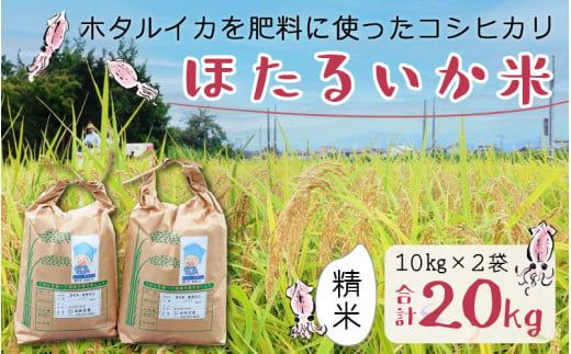 【訳あり】ほたるいか米（精米20kg）【通年発送】