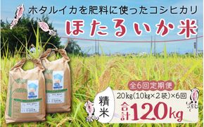 【訳あり】ほたるいか米（精米20kg）×6回 計120kg【6ヶ月定期便】